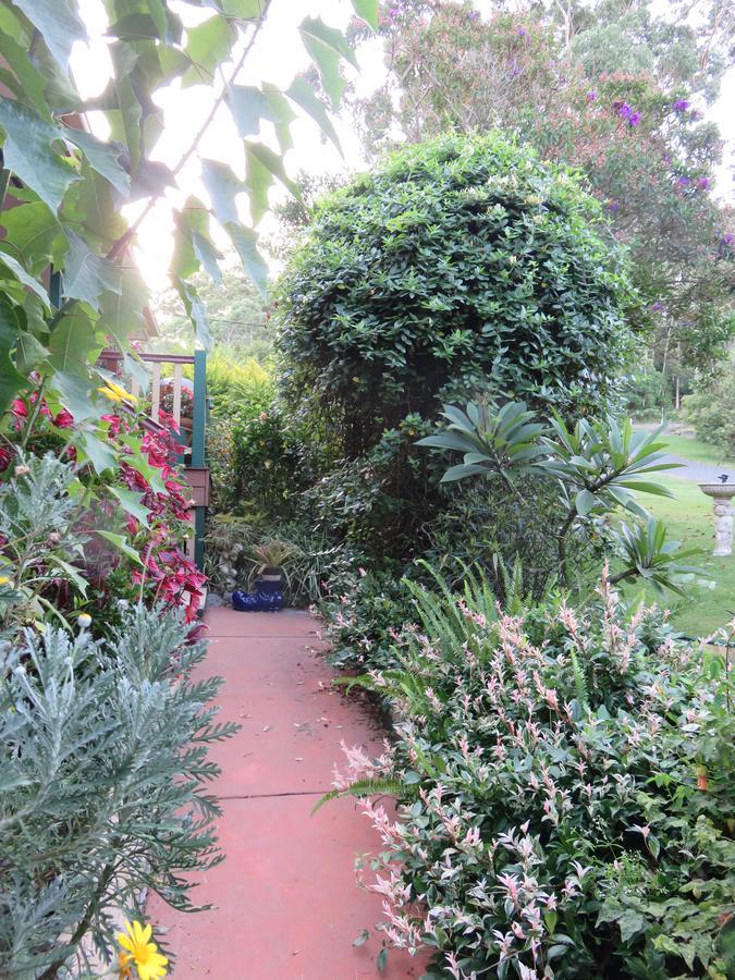 Shasta Place Mount Tamborine Exterior foto